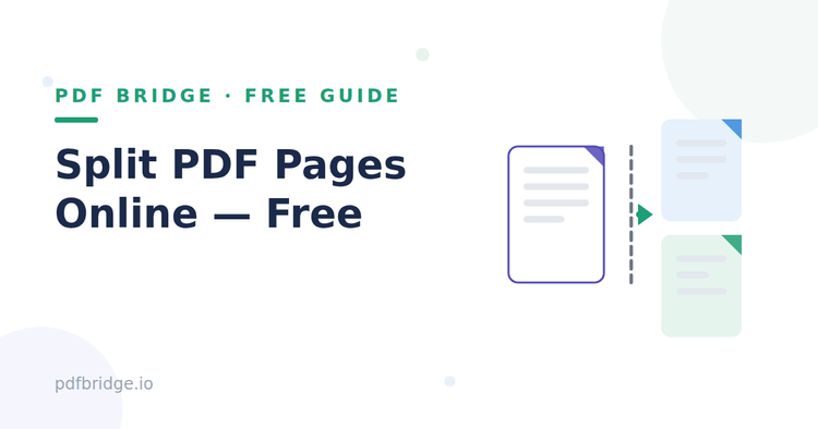 Illustration showing a PDF document being split into separate pages